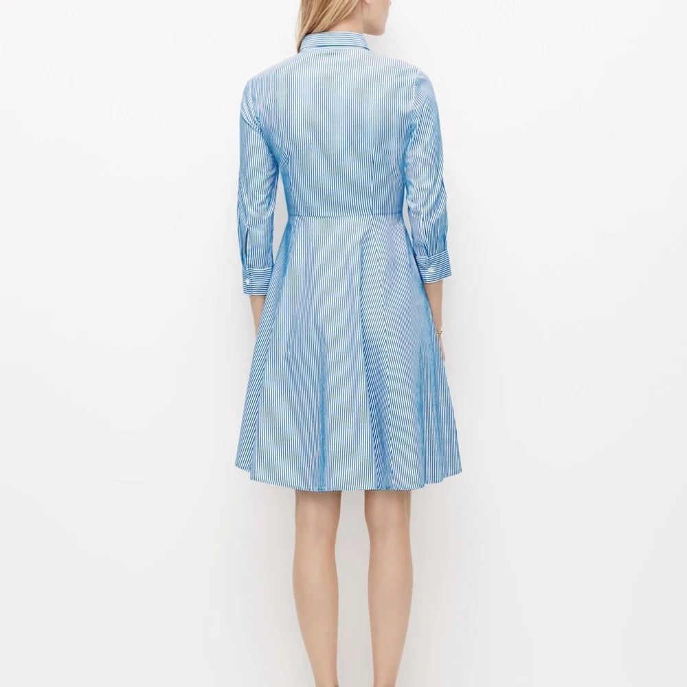 Ann Taylor Striped Shirt Dress - Picture 3 of 6